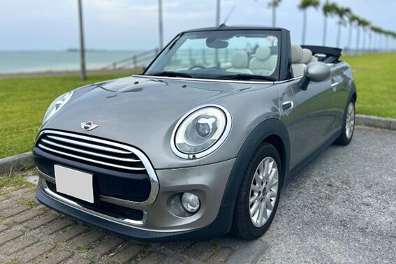 Mini Cooper MINI Convertible Gray3