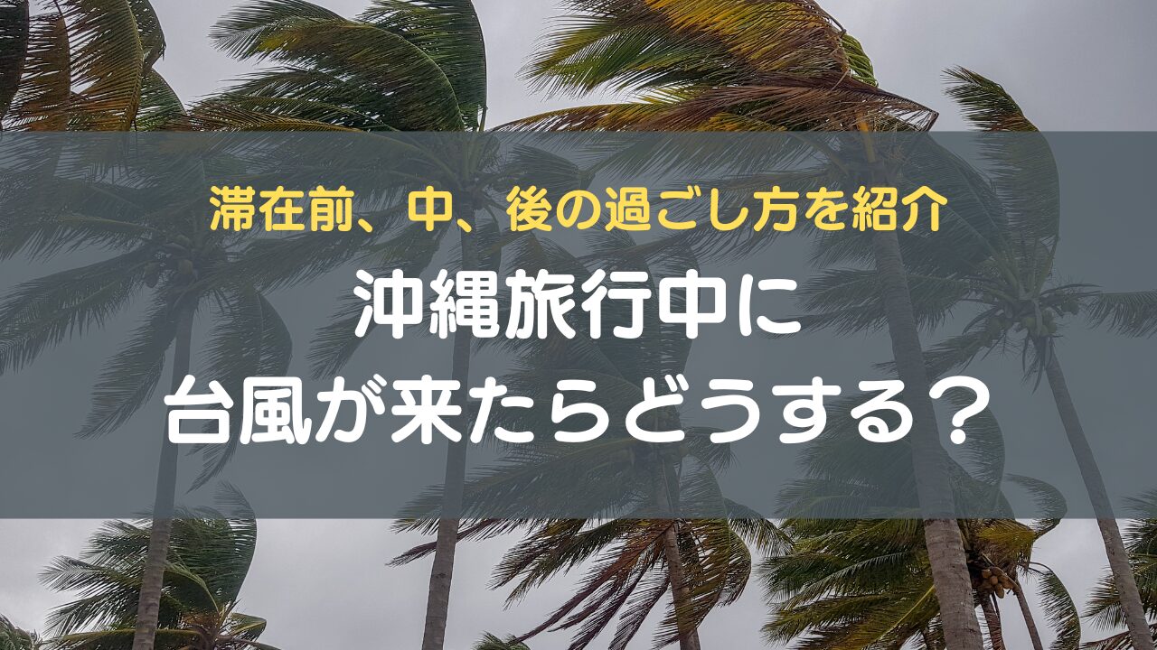 パック ストア 旅行 台風